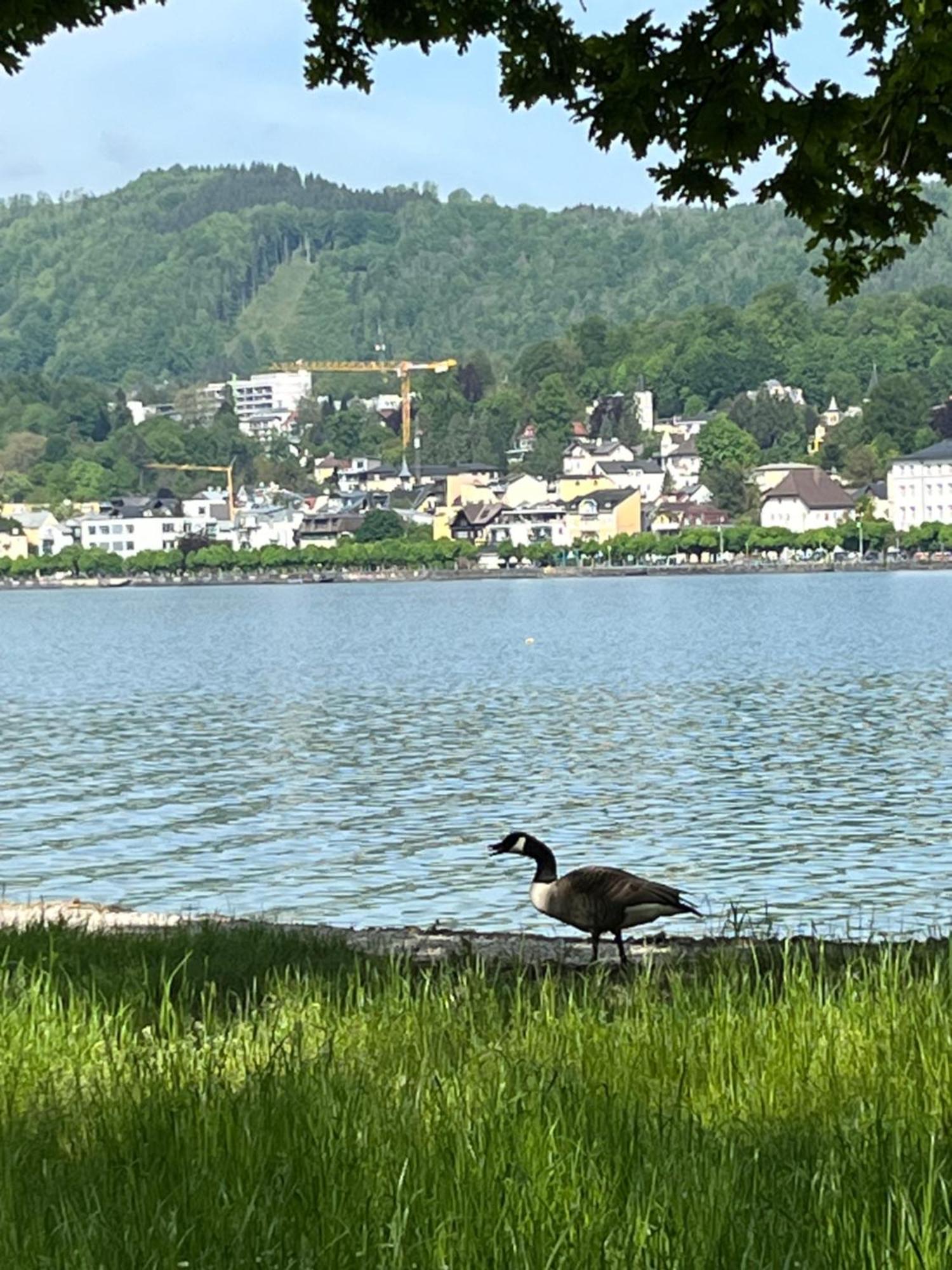 Altstadtjuwel In Gmunden Am Traunsee Eksteriør billede
