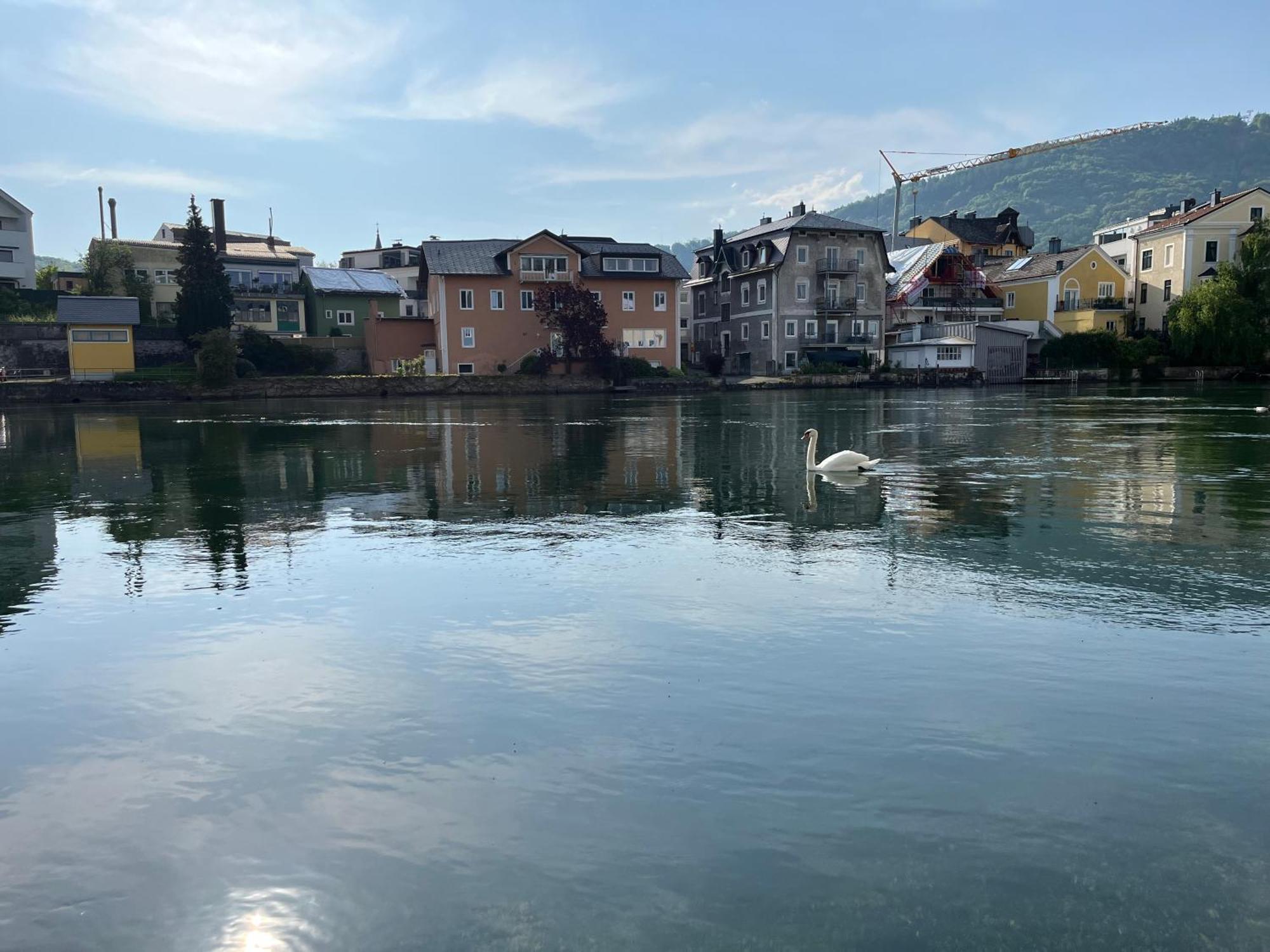 Altstadtjuwel In Gmunden Am Traunsee Eksteriør billede