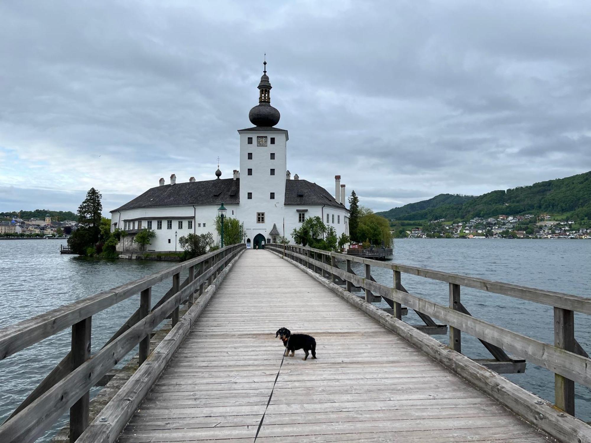 Altstadtjuwel In Gmunden Am Traunsee Eksteriør billede