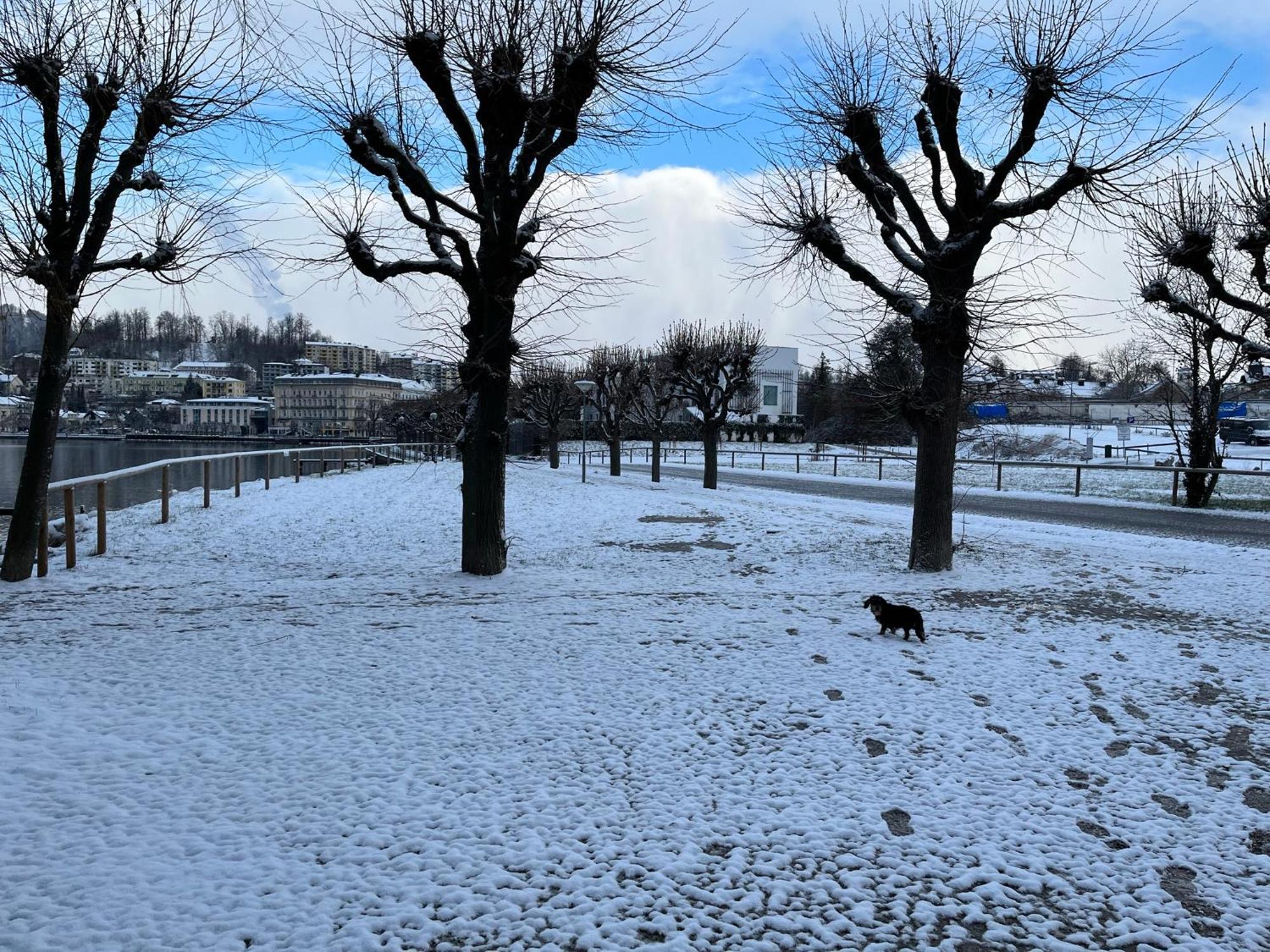 Altstadtjuwel In Gmunden Am Traunsee Eksteriør billede